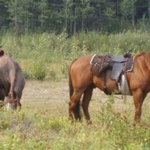 Meet your Posher, Sherri